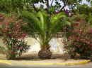 thm_CalaRajadaMallorca (12).jpg